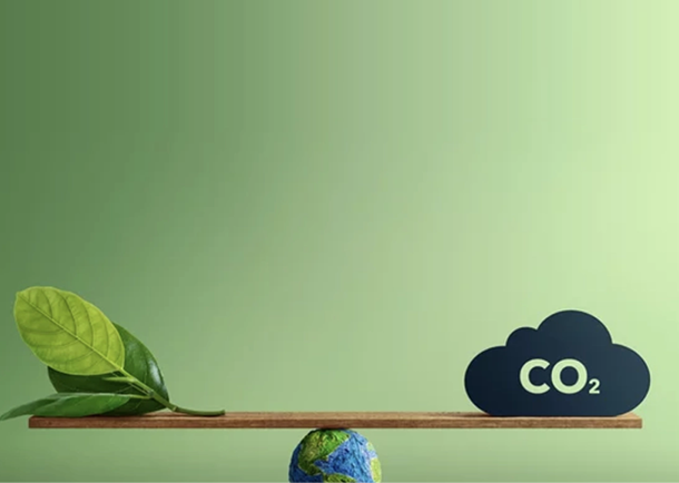 Measuring the carbon footprint at Sacytrans