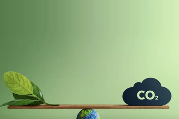 Measuring the carbon footprint at Sacytrans